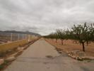 Acheter Terrain Abanilla rgion MURCIA