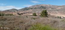 Acheter Terrain La-romana rgion ALICANTE