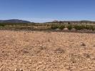 Acheter Terrain 14000 m2 Pinoso