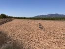 Acheter Terrain Pinoso rgion ALICANTE