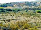 Annonce Vente Terrain Orihuela