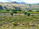Acheter Terrain 32767 m2 Orihuela