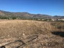 Acheter Terrain 14000 m2 Salinas