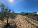 Annonce Vente Terrain Salinas