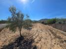 Acheter Terrain 18088 m2 Salinas