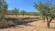 Annonce Vente Terrain Salinas