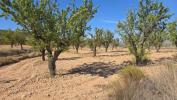 Acheter Terrain 23102 m2 Salinas