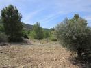 Acheter Terrain Yecla rgion MURCIA