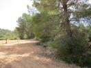 Acheter Terrain Yecla rgion MURCIA