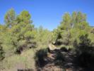 Acheter Terrain 19496 m2 Yecla