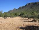 Acheter Terrain Yecla rgion MURCIA