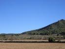 Acheter Terrain 20054 m2 Yecla
