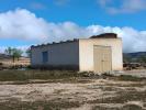 Annonce Vente Terrain Yecla