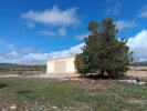 Acheter Terrain 11000 m2 Yecla