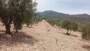 Annonce Vente Terrain Salinas