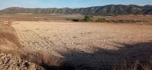 Annonce Vente Terrain Salinas