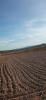 Acheter Terrain 32767 m2 Salinas