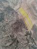 Annonce Vente Terrain Pinoso