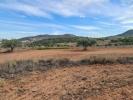 Acheter Terrain 20343 m2 Pinoso