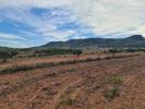 Acheter Terrain Pinoso rgion ALICANTE