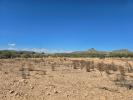 Annonce Vente Terrain Salinas