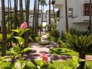 Annonce Vente Appartement Marbella