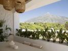 Acheter Appartement 160 m2 Marbella