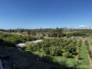 Acheter Maison 107 m2 Estepona