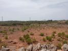Acheter Terrain 200 m2 Alaior