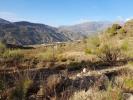 Acheter Terrain 32000 m2 Velez-de-benaudalla
