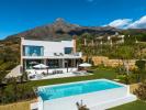 Acheter Maison 825 m2 Marbella