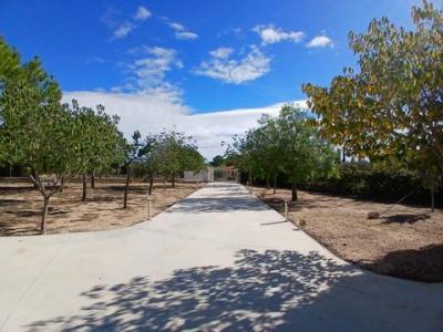 Acheter Maison Yecla r�gion MURCIA