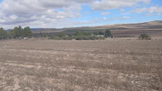 Acheter Terrain Yecla r�gion MURCIA