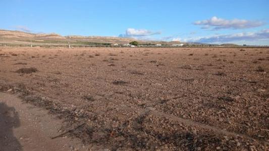 Acheter Terrain Yecla r�gion MURCIA