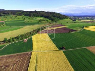 Vente Terrain Caceres  CC en Espagne