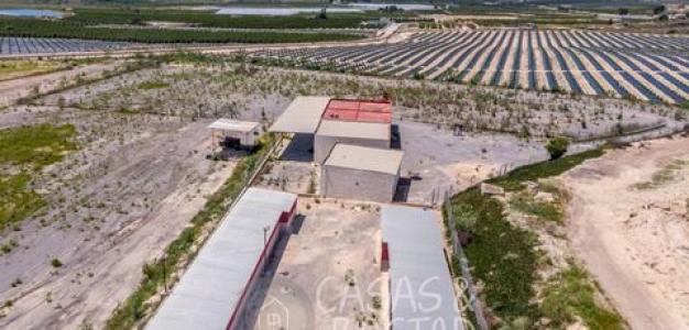 Acheter Maison Los-montesinos r�gion ALICANTE