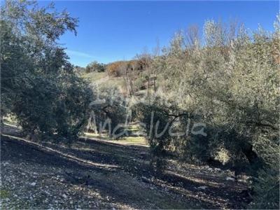 Acheter Maison Priego-de-cordoba r�gion CORDOBA