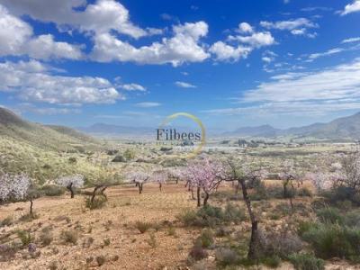 Annonce Vente Maison Mahon