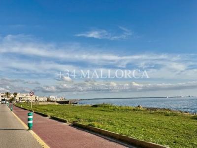 Annonce Location Appartement Llucmajor