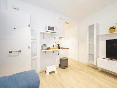 Louer pour les vacances Appartement 70 m2 Fuengirola