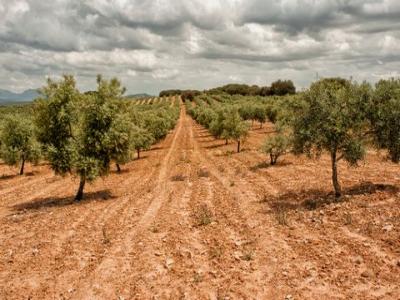 Acheter Maison Malaga r�gion MALAGA