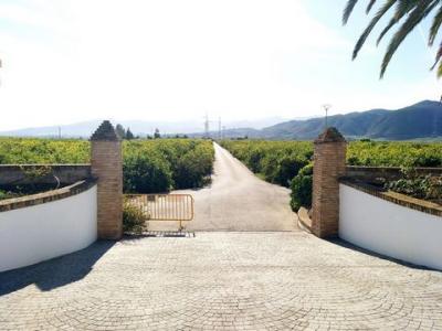 Acheter Maison Malaga r�gion MALAGA