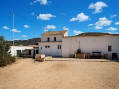 Annonce Vente Maison Alguena