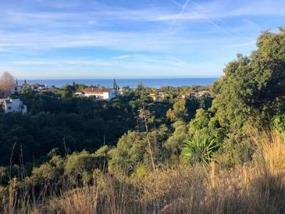Acheter Terrain 28123 m2 Marbella