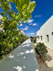 Acheter Maison 120 m2 Benijofar