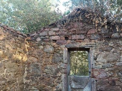 Acheter Maison 42 m2 As-neves