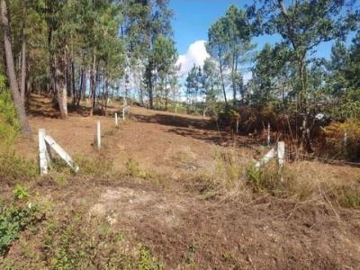 Acheter Terrain Salvaterra-de-mino r�gion PONTEVEDRA