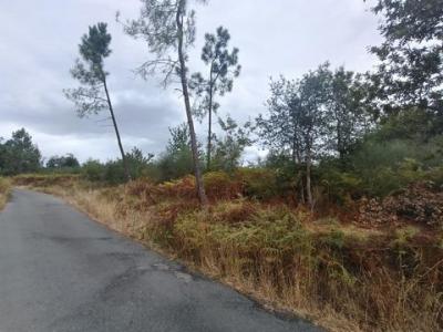 Annonce Vente Terrain Salvaterra-de-mino