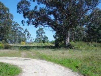 Acheter Terrain Noalla r�gion PONTEVEDRA