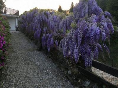 Acheter Maison 325 m2 Randufe